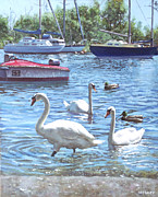 Christchurch Harbour Swans And Boats Painting by Martin Davey