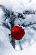 Christmas Tree Photograph by Joana Kruse