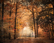 Clearing Photograph by Jai Johnson