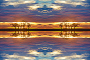 Close Encounters Four Photograph by James BO Insogna Close Encounters Four Photograph by James BO Insogna