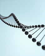 Close Up Of Molecular Dna Model Photograph by Ikon Ikon Images