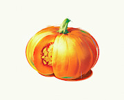 Close Up Of Pumpkin With Slice Missing Photograph by Ikon Ikon Images