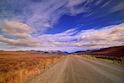 Clouds Over Fall Tundra  Photograph by Yva Momatiuk John Eastcott