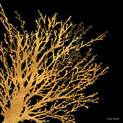 Coastal Coral On Black II Painting by Lanie Loreth