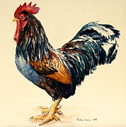 Cockerel Painting by Alison Cooper