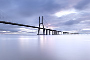 Cold Photograph by Jorge Maia