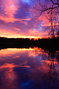 Color Explosion Photograph by Bryan Bzdula
