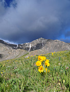 Colorado Beauty Photograph by Aaron Spong