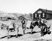 Colorado Prospectors Photograph by Granger Colorado Prospectors Photograph by Granger