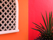 Colors of Mahahual Photograph by Julie Palencia