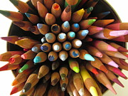 Colour Pencils Flower Photograph by Alfred Ng