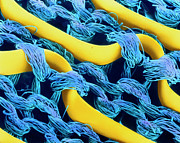 Coloured Sem Of Plastic Pan Scourer Photograph by Science Photo Library