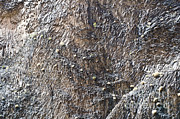 Columnar Basalt In The Grand Canyon Photograph by William H. Mullins