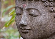 Compassion Set in Stone Photograph by Mark Rogers