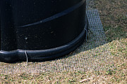 Compost Bin Protection Photograph by Science Photo Library