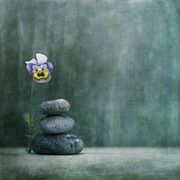 Confidence Photograph by Priska Wettstein