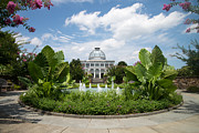 Conservatory Photograph by Stacy Abbott