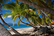 Cooper Island Photograph by Adam Romanowicz