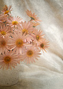 Coral Pink Still Life Photograph by Kathi Mirto