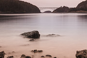 Cornet Bay Golden Glow Photograph by Tony Locke