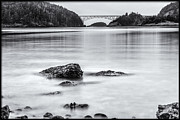 Cornet Bay Photograph by Tony Locke
