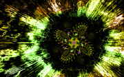 Cosmic Solar Flower Fern Flare Digital Art by Shawn Dall