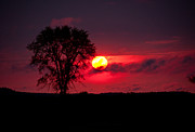 Could be in Africa Photograph by Cheryl Baxter
