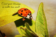 Count your Blessings Photograph by Trina  Ansel
