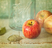 Country Comfort Photograph by Amy Weiss