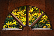 Country Kitchen Window Photograph by Kaye Menner