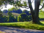 Country Landscape Photograph by Steve Karol