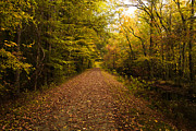 Country Road Photograph by Pete Federico
