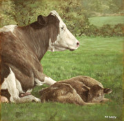 Cow And Calf In Field Painting by Martin Davey