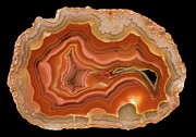 Coyamito Agate Photograph by Science Photo Library