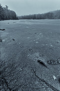 Cracks and Tracks Photograph by Bryan Bzdula