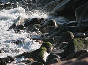 Crash and Splash Photograph by Tammie Miller