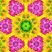 Crazy Daises - Spring Flowers - Bouquet - Gerber Daisy Wanna Be - Kaleidoscope 1 Photograph by Andee Design