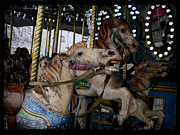 Crazy Horses 1 Photograph by Richard Reeve