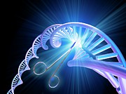 Crispr Genome Editing Photograph by Science Photo Library