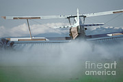 Crop Duster Applying Fertilizer Photograph by Ron Sanford
