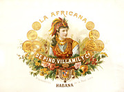 Cuban La Africana Cigars Image Art Photograph by Jo Ann Tomaselli
