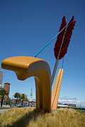 Cupid's Span Photograph by David Bearden