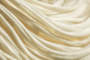 Curvilicious Photograph by Marilyn Cornwell