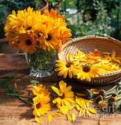 Cut Flowers With Basket And Vase Photograph by Hans Reinhard