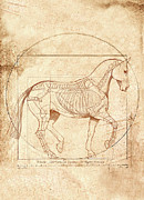 da Vinci Horse in Piaffe Painting by Catherine Twomey