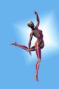 Dancer's Skeleton Photograph by Science Photo Library