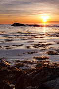 Dancing On The Tide Photograph by Jeff Sinon