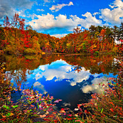 Davis Pond Reflections Photograph by Steven Llorca