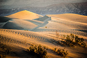 Death Valley Sand Dunes Photograph by Francesco Riccardo Iacomino