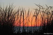 December Dawn Photograph by Robert Banach December Dawn Photograph by Robert Banach